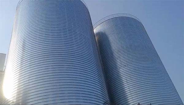 沾化2座混凝土高架卷板仓